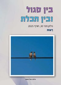 בין סגול ובין תכלת 30